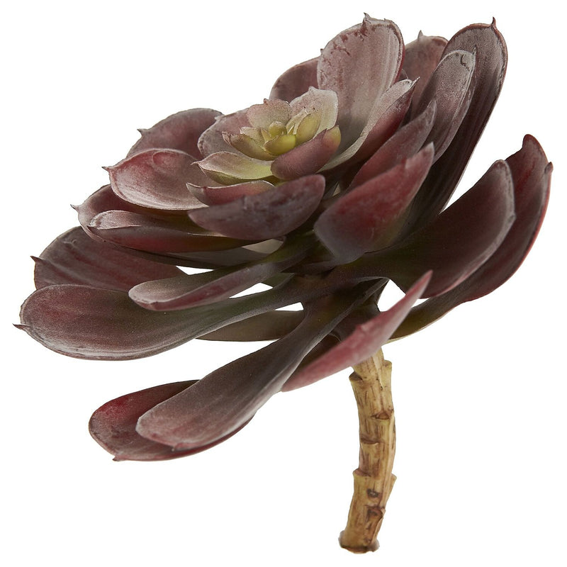 Nearly Natural 6105-BG-S12 Echeveria Succulent Plants 6 x 5 inch, Burgundy