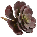 Nearly Natural 6105-BG-S12 Echeveria Succulent Plants 6 x 5 inch, Burgundy