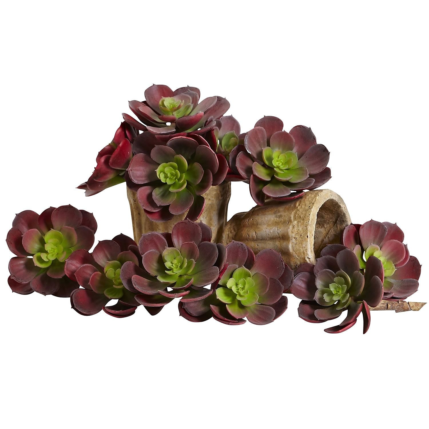 Nearly Natural 6106-BG-S12 Echeveria Succulent Plant 5 x 5 inch, Burgundy