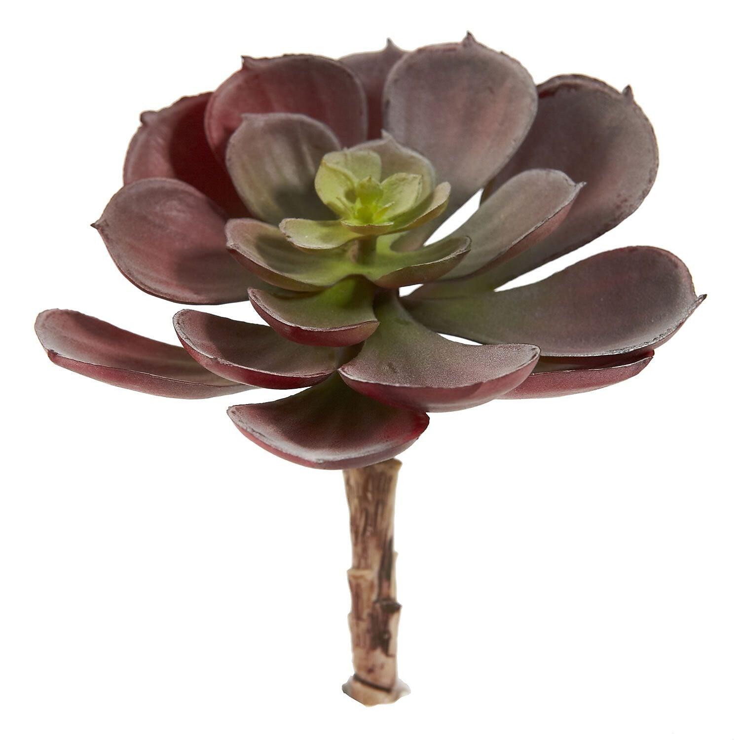 Nearly Natural 6106-BG-S12 Echeveria Succulent Plant 5 x 5 inch, Burgundy