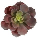 Nearly Natural 6106-BG-S12 Echeveria Succulent Plant 5 x 5 inch, Burgundy