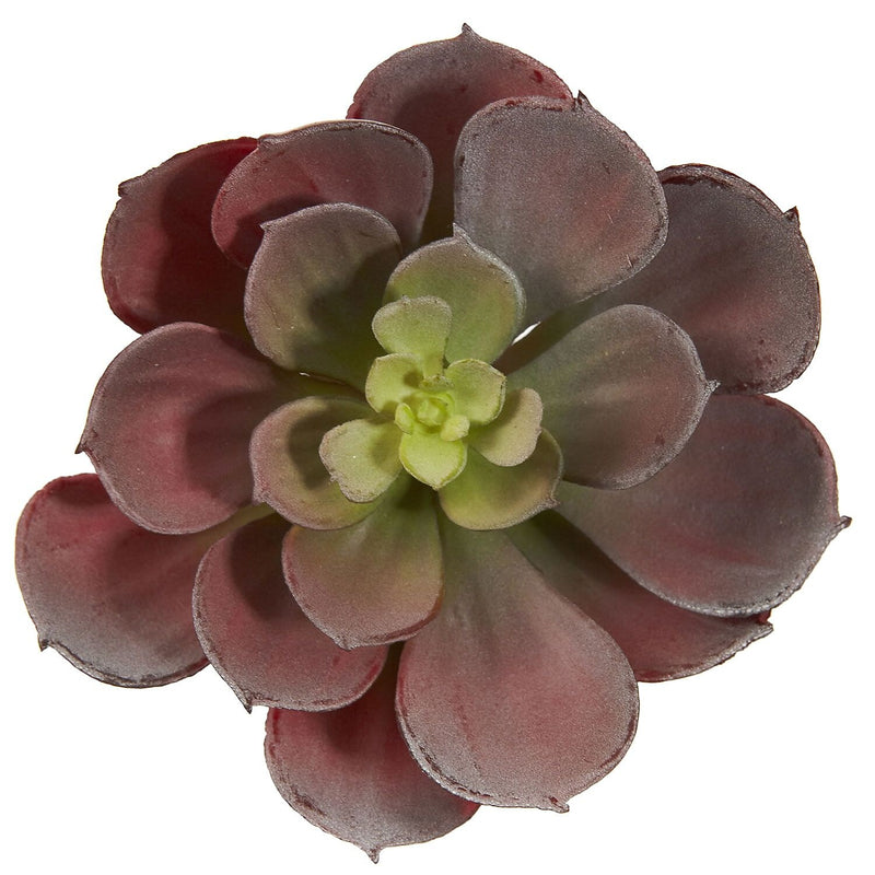Nearly Natural 6106-BG-S12 Echeveria Succulent Plant 5 x 5 inch, Burgundy