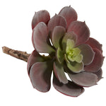Nearly Natural 6106-BG-S12 Echeveria Succulent Plant 5 x 5 inch, Burgundy