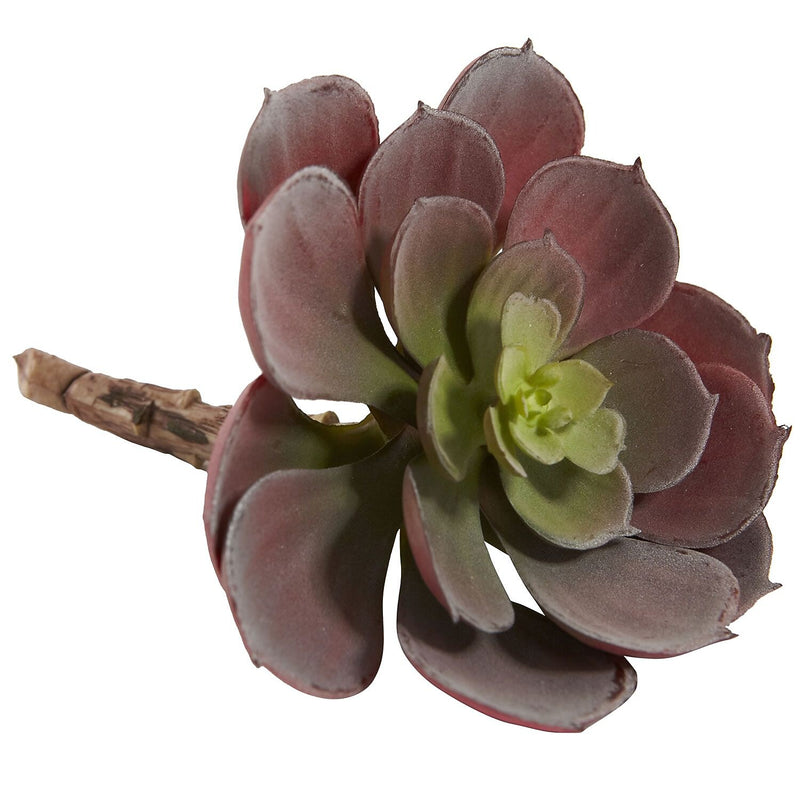 Nearly Natural 6106-BG-S12 Echeveria Succulent Plant 5 x 5 inch, Burgundy
