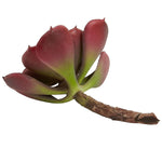 Nearly Natural 6106-BG-S12 Echeveria Succulent Plant 5 x 5 inch, Burgundy