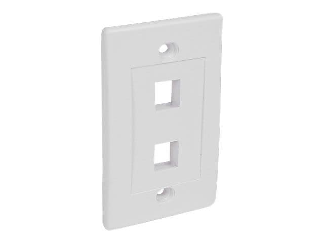 Startech® PLATE2WH Dual Outlet RJ45 Universal Wall Plate