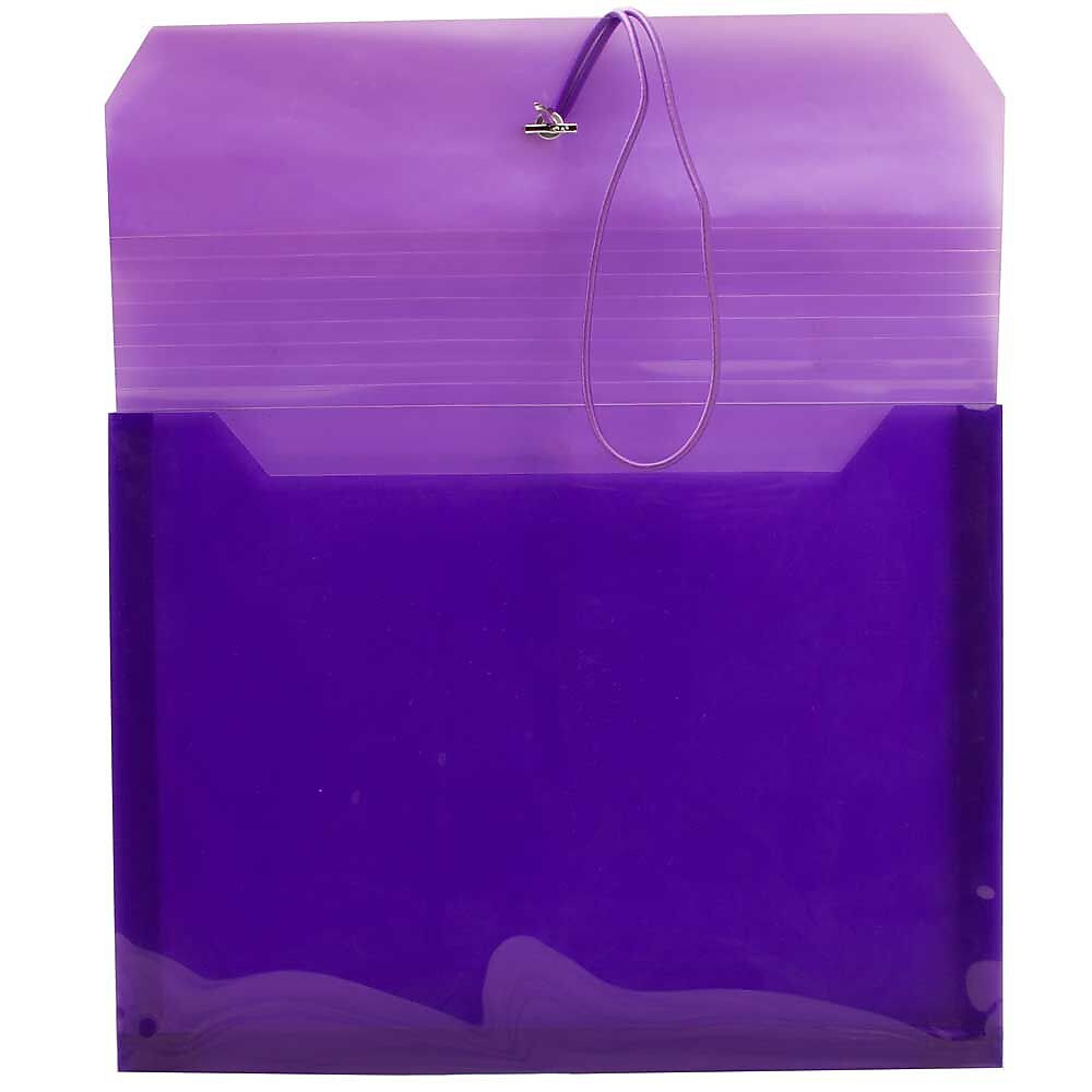 JAM Paper Standard Plastic Document File, Letter, Purple, 12/Pack (218E25PUB)