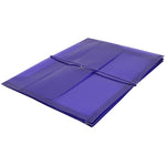 JAM Paper Standard Plastic Document File, Letter, Purple, 12/Pack (218E25PUB)