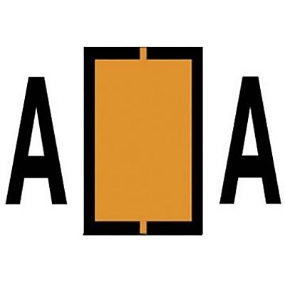Medical Arts Press Jeter "A" Identification & Color Coding Labels, 15/16"H x 1 5/8"W, Orange, 500/Roll (33610)