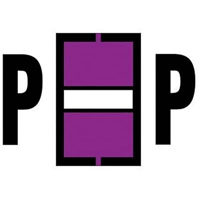 Medical Arts Press® Jeter® Compatible Alpha Sheet Style Labels, "P"