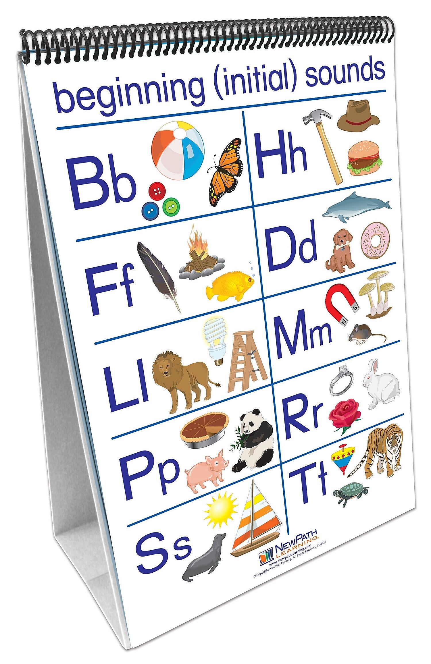 NewPath Learning Phonemic Awareness Curriculum Mastery Flip Chart Set