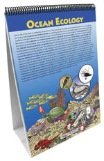 NewPath Learning Earth's Oceans Flip Chart Set
