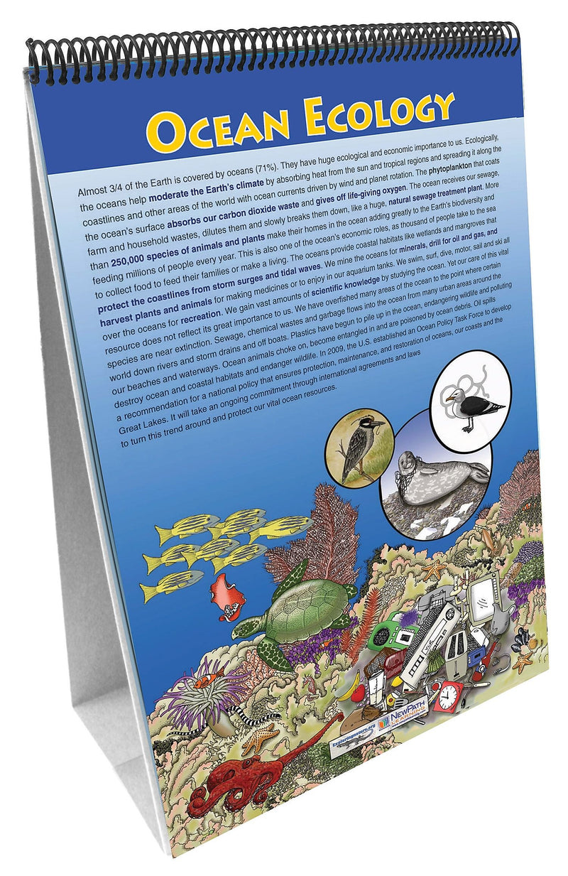 NewPath Learning Earth's Oceans Flip Chart Set
