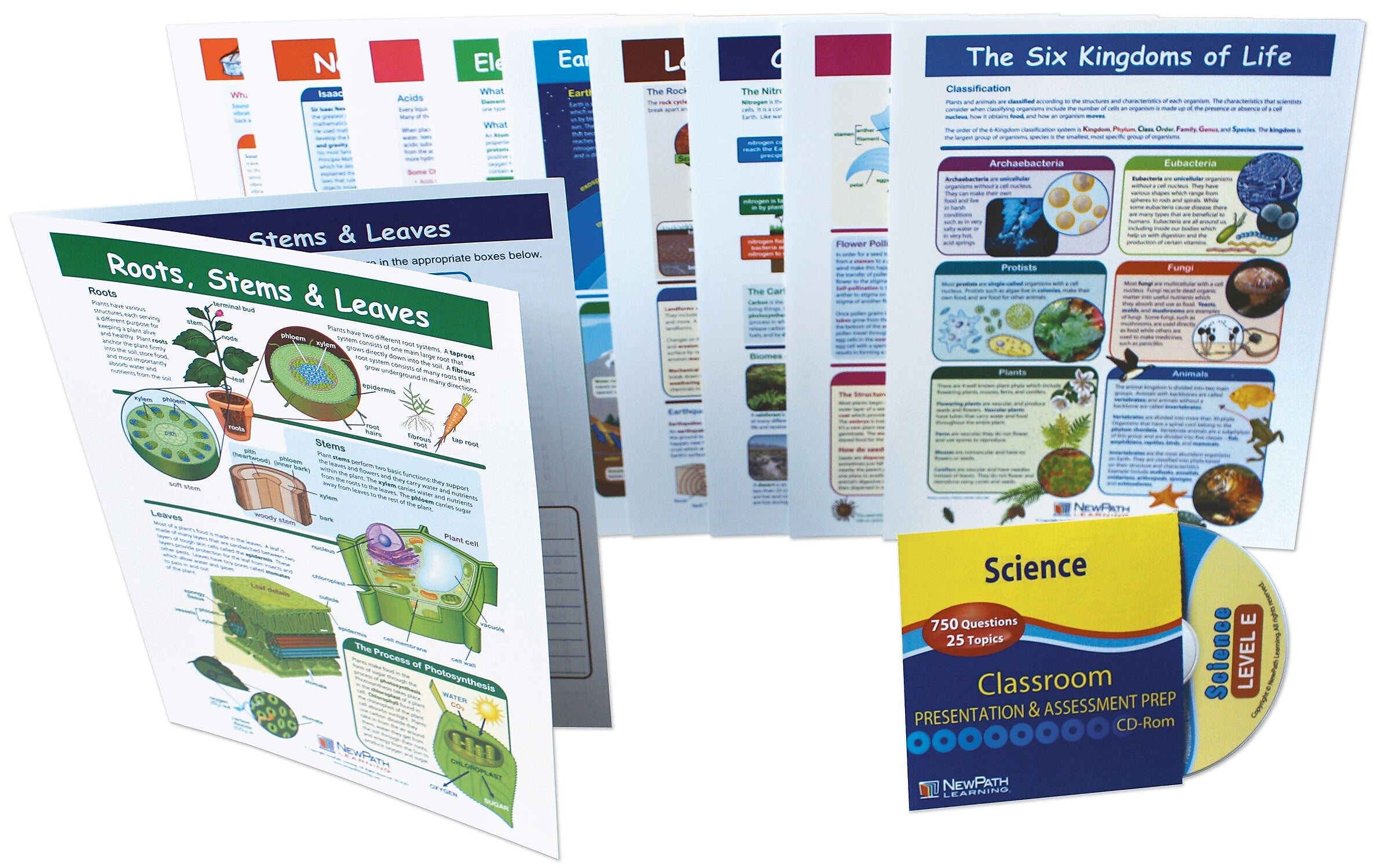 NewPath Learning Mastering Science Visual Learning Guides Set