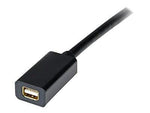 StarTech DisplayPort to mini DisplayPort 1.2 cable adapter