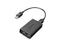 Lenovo® 0B47092 DisplayPort to Dual-DisplayPort Male/Female Adapter