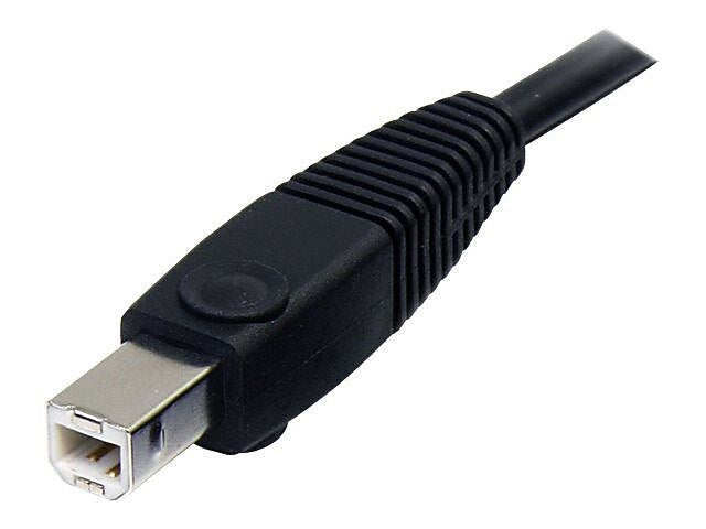StarTech 6' Other to USB A/3.5mm/Display Port Audio Cable, Male to Male, Black (DP4N1USB6)