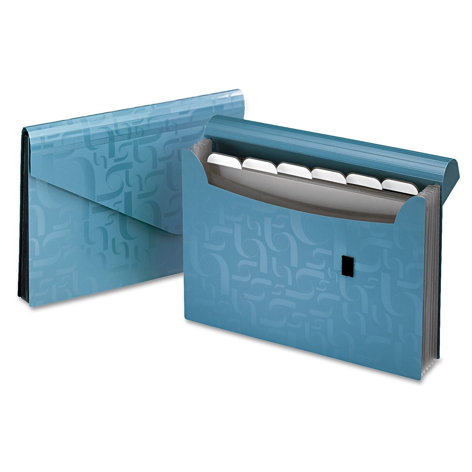 Pendaflex Plastic Accordion, Letter Size, Blue (PFX01158)