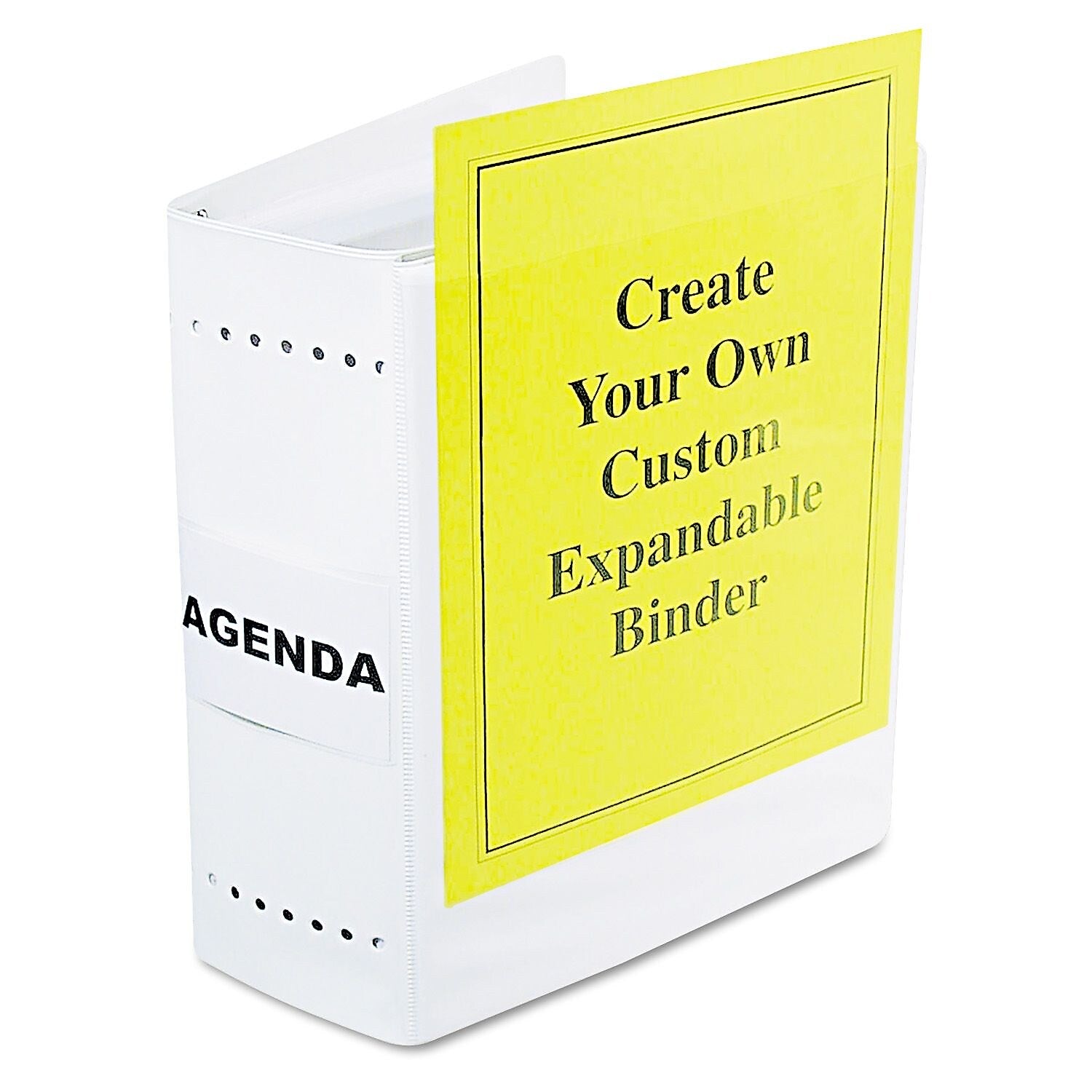 CLI 6" View Binders, White (LEO61605)