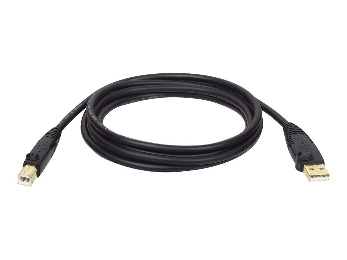 Tripp Lite 10' USB A to USB B Cable, Male to Male, Black (U022-010)