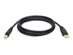 Tripp Lite 10' USB A to USB B Cable, Male to Male, Black (U022-010)