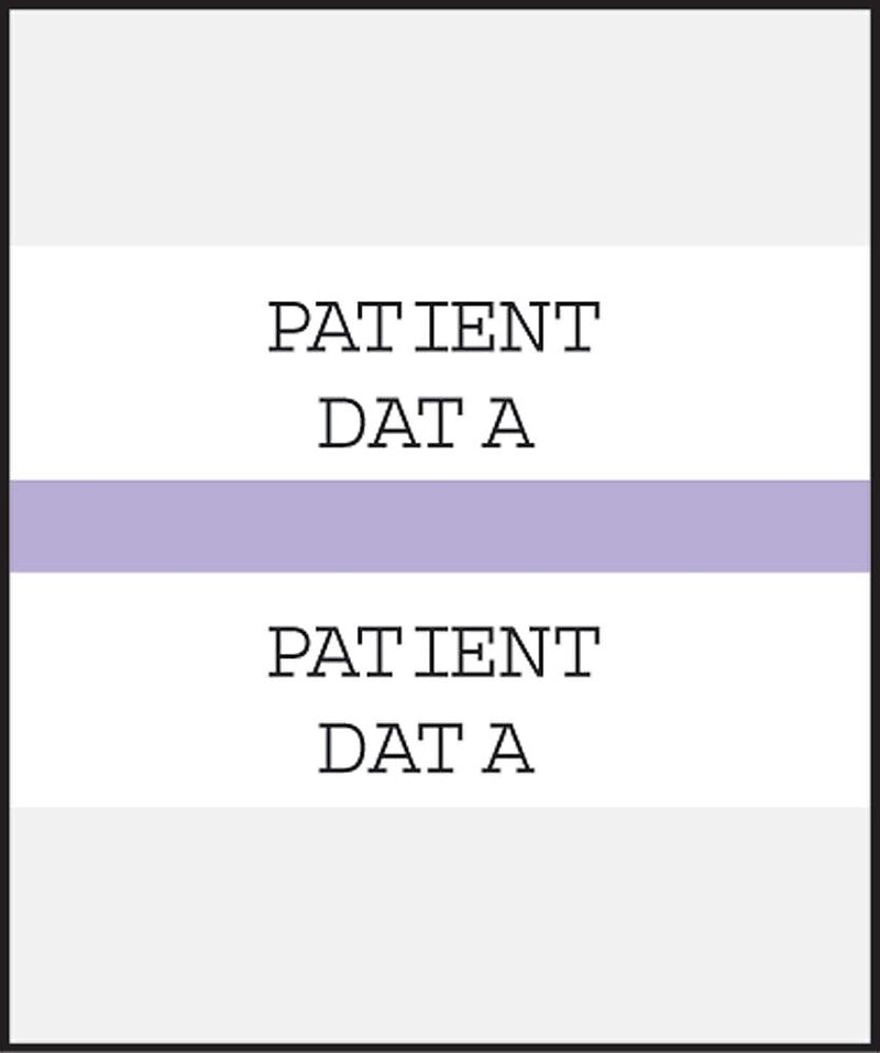 Medical Arts Press® Standard Preprinted Chart Divider Tabs; Patient Data, Lavender