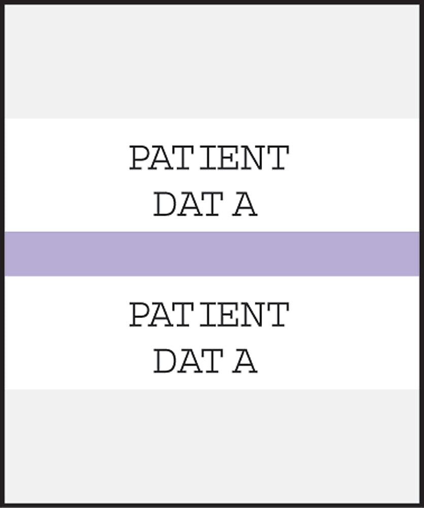 Medical Arts Press® Standard Preprinted Chart Divider Tabs; Patient Data, Lavender