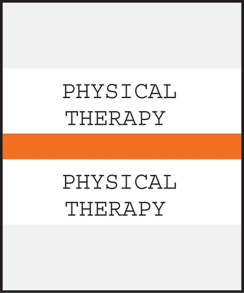 Medical Arts Press® Standard Preprinted Chart Divider Tabs; Physical Therapy, Orange