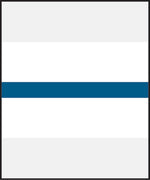 Medical Arts Press® Write-On or Type-On Divider Tabs; Dark Blue