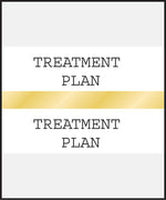 Medical Arts Press® Standard Preprinted Chart Divider Tabs; Treatment Plan, Gold