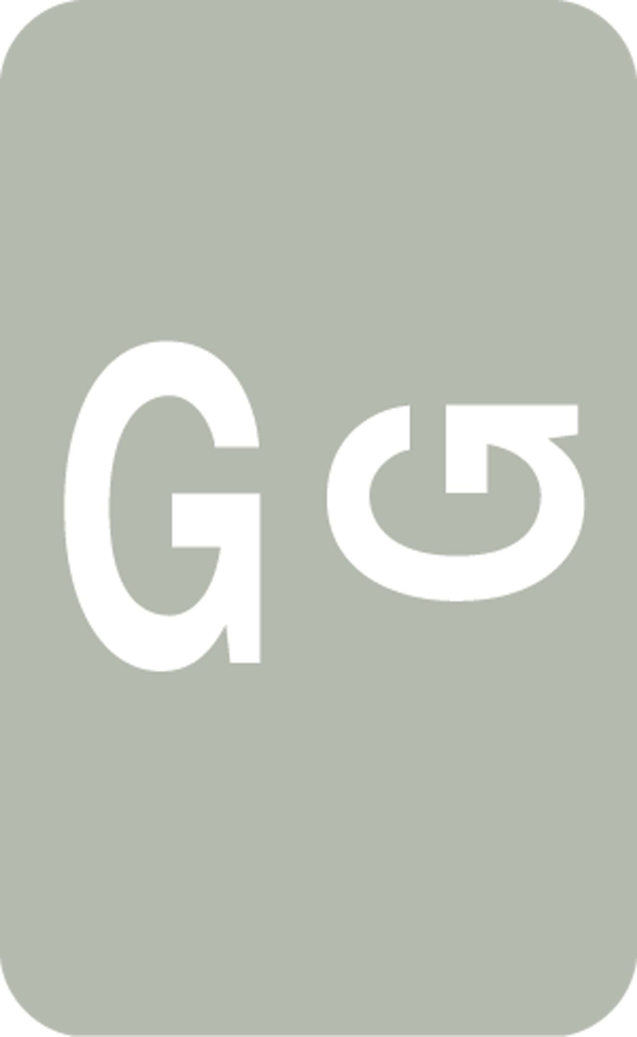 Medical Arts Press® Smead® Alpha-Z® Compatible Alpha Sheet Labels, "G"