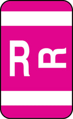 Medical Arts Press® Smead® Alpha-Z® Compatible Alpha Sheet Labels, "R"