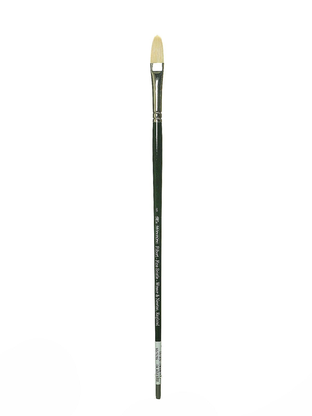 Winsor And Newton Winton Hog Brushes 6 Filbert