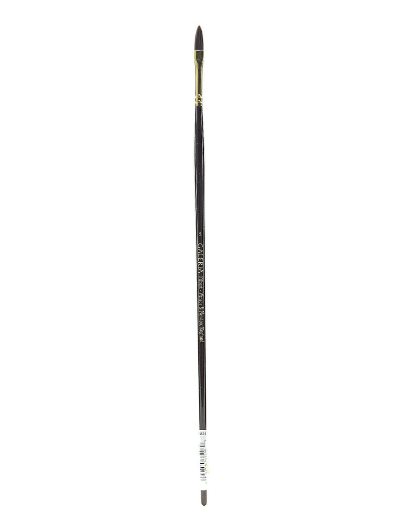 Winsor And Newton Galeria Long Handled Brushes 2-Filbert (55227)