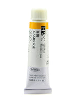 Holbein Artist Watercolor Gamboge Nova 5 Ml [Pack Of 2]