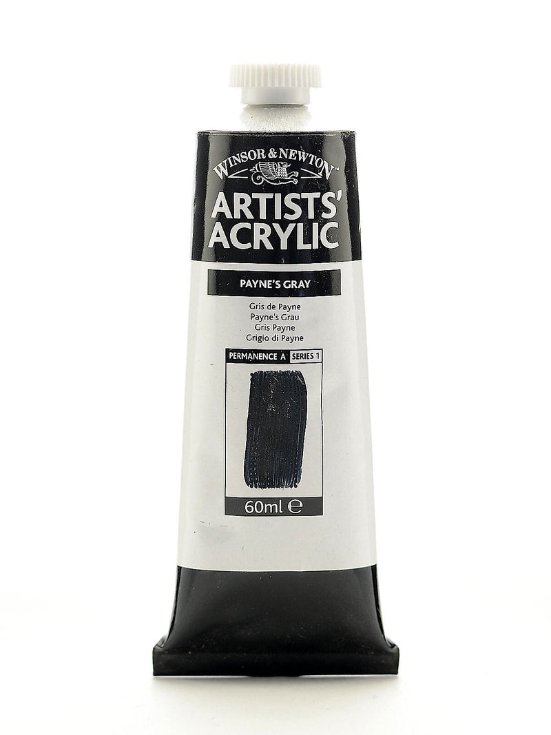 Winsor  And  Newton Professional Acrylic Colours Payne's Gray 60 Ml 465 [Pack Of 2]