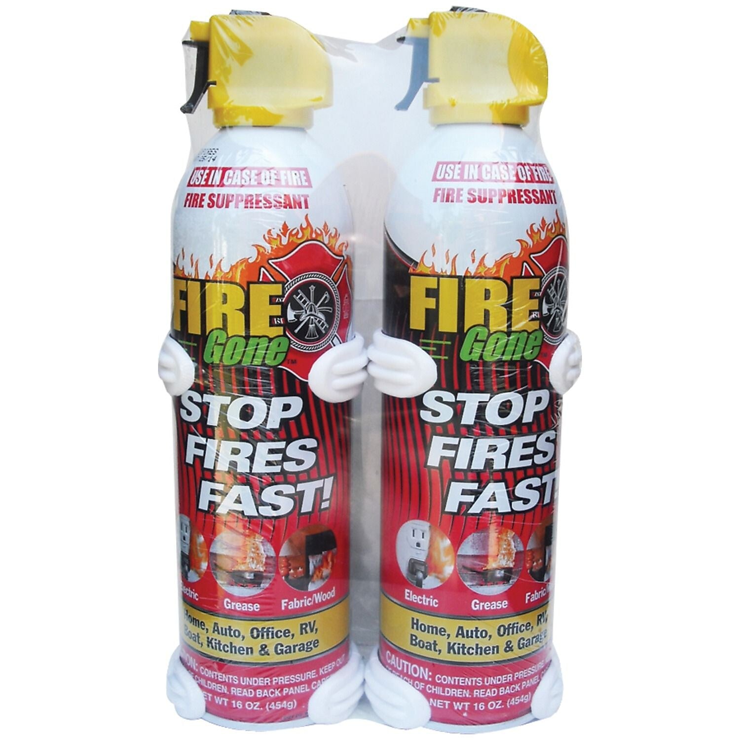 Petra Fire Gone Foam Fire Extinguisher, Class ABC, 2/Pack (AVW2FG7209)
