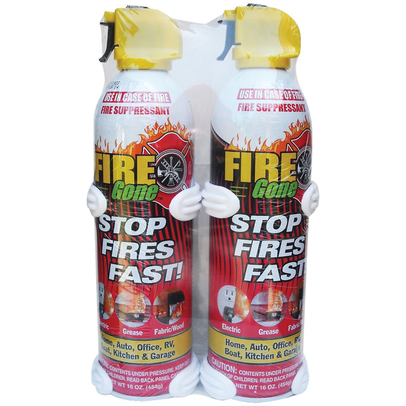 Petra Fire Gone Foam Fire Extinguisher, Class ABC, 2/Pack (AVW2FG7209)