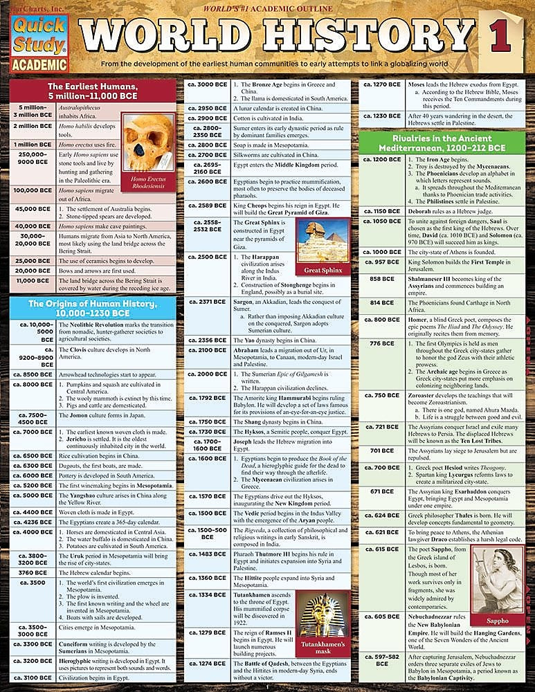 BarCharts, Inc. QuickStudy® World History Reference Set (9781423230120)