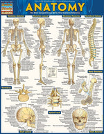 BarCharts, Inc. QuickStudy® Medical Terminology Reference Set (9781423230359)