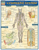 BarCharts, Inc. QuickStudy® Anatomy Reference Set (9781423230397)