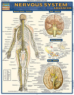 BarCharts, Inc. QuickStudy® Anatomy Advanced Reference Set (9781423230403)