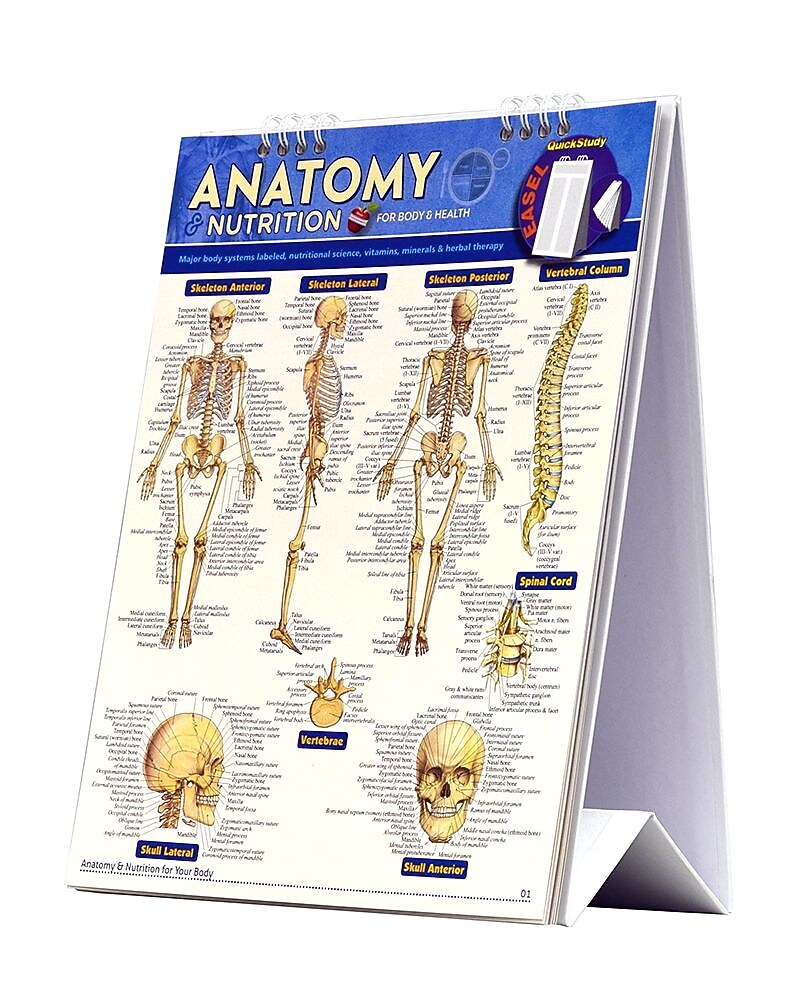 BarCharts, Inc. QuickStudy® Anatomy & Nutrition's Easel Reference Set (9781423230502)