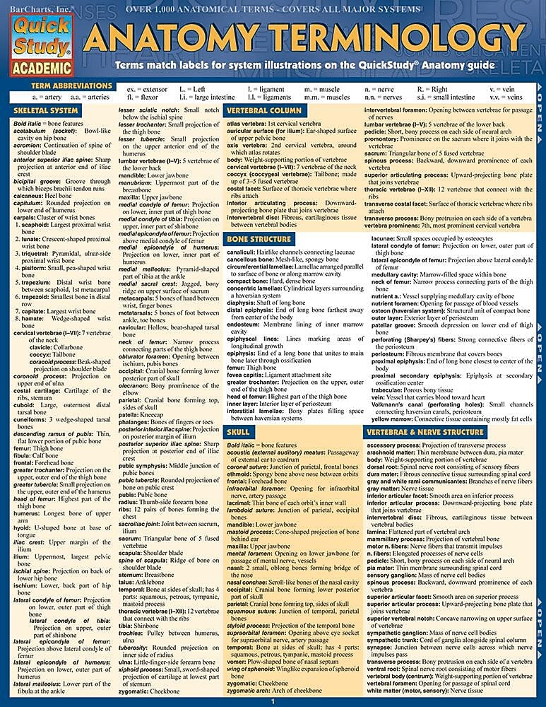 BarCharts, Inc. QuickStudy® Medical Terminology Reference Easel Reference Set (9781423230526)