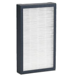 GermGuardian HEPA Air Purifier Filter for AC4100 Air Purifier (FLT4100)