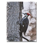 Trademark Fine Art Lois Bryan 'Wood Pecker' Canvas Art 22x32 Inches