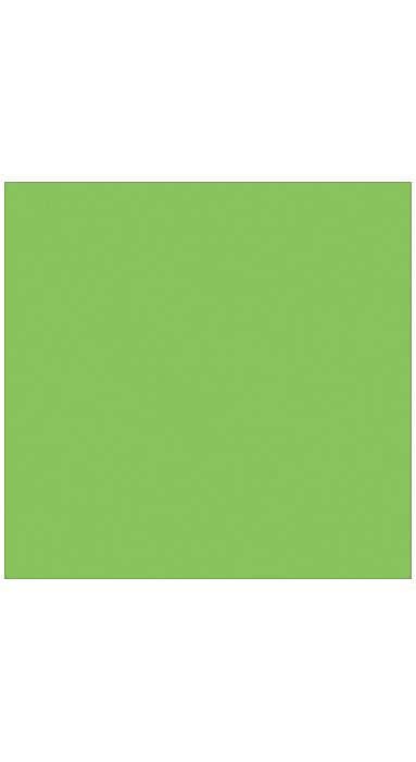 LUX 100 lb. Cardstock Paper, 12" x 12", Limelight Green, 1000 Sheets/Pack (1212-C-101-1M)