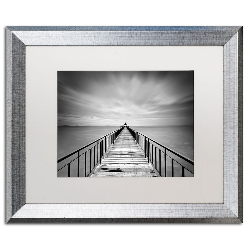 Trademark Fine Art ''Withstand'' by Michael de Guzman 16" x 20" White Matted Silver Frame (ALI0286-S1620MF)