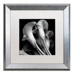 Trademark Fine Art ''Lillies'' by Michael Harrison 16" x 16" White Matted Silver Frame (ALI0288-S1616MF)