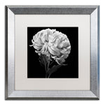 Trademark Fine Art ''Mum II'' by Michael Harrison 16" x 16" White Matted Silver Frame (ALI0292-S1616MF)